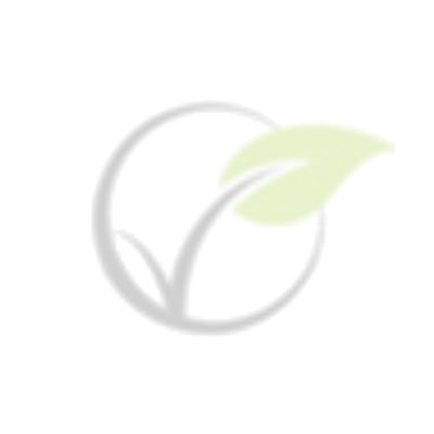 Goccia d'oro extra szűz olíva olaj - CORATINA olíva bogyóból 500ml